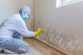 Why You Should Choose Our Mold Remediation Services in Pelion, SC