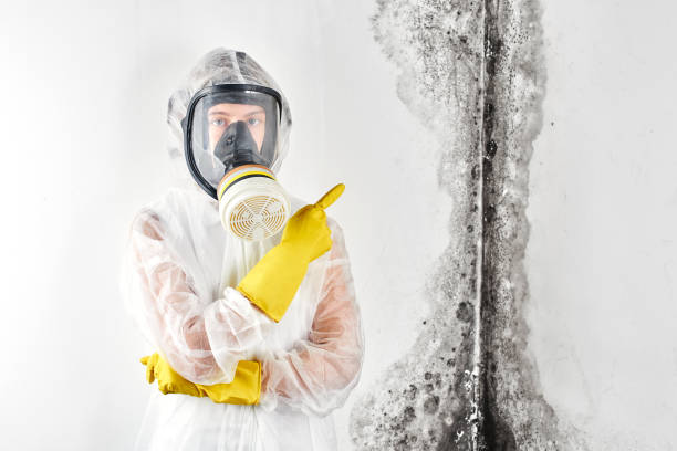 Forensic Mold Investigation in Pelion, SC