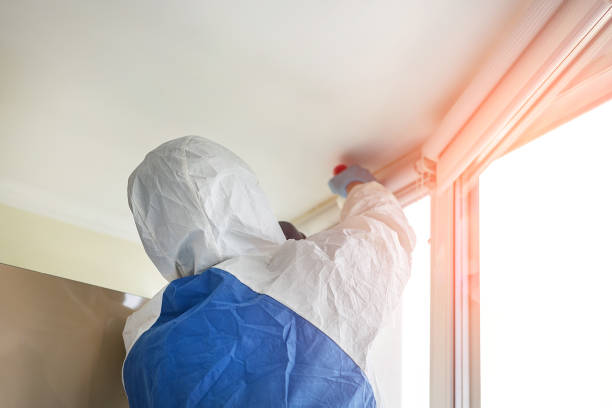 Best Environmental Consulting for Mold Prevention  in Pelion, SC